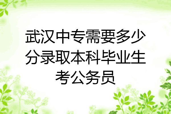 武汉中专需要多少分录取本科毕业生考公务员