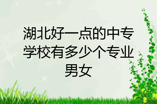 湖北好一点的中专学校有多少个专业男女