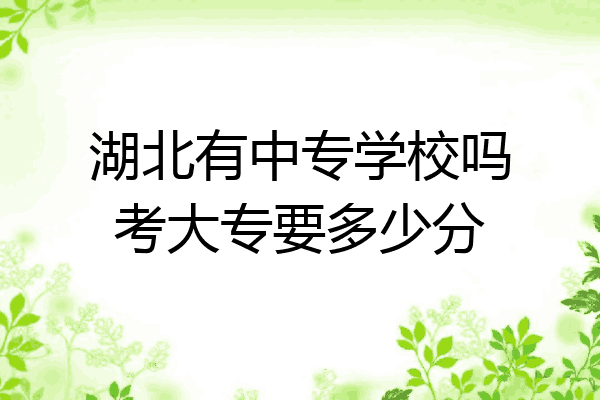 湖北有中专学校吗考大专要多少分