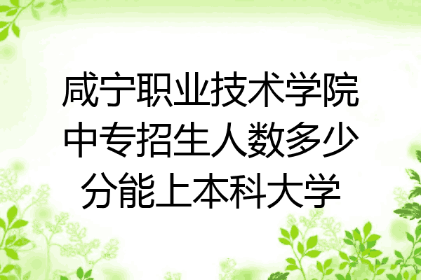 咸宁职业技术学院中专招生人数多少分能上本科大学