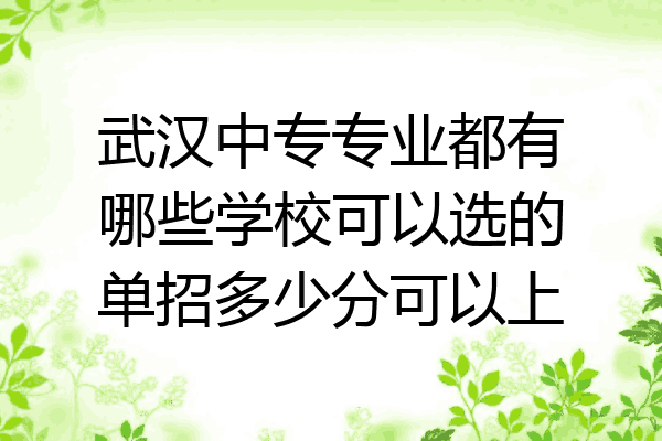 武汉中专专业都有哪些学校可以选的单招多少分可以上