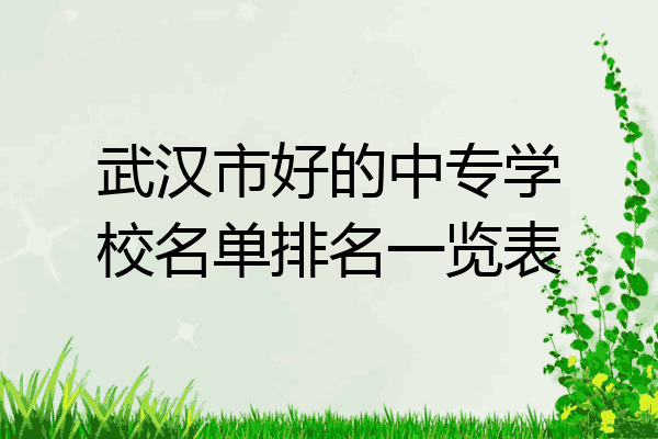 武汉市好的中专学校名单排名一览表