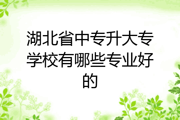 湖北省中专升大专学校有哪些专业好的