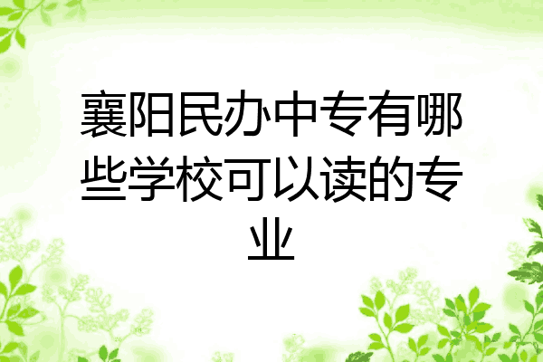 襄阳民办中专有哪些学校可以读的专业