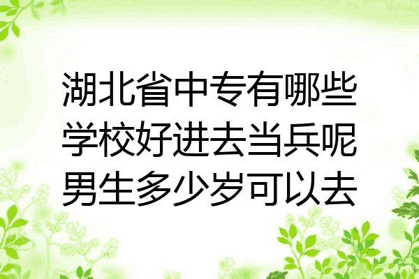 湖北省中专有哪些学校好进去当兵呢男生多少岁可以去