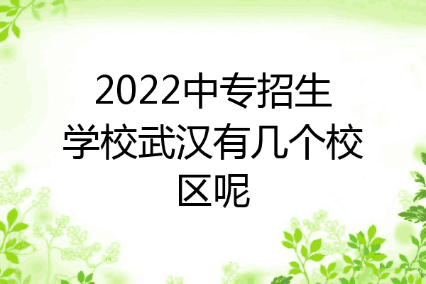 2022中专招生学校武汉有几个校区呢