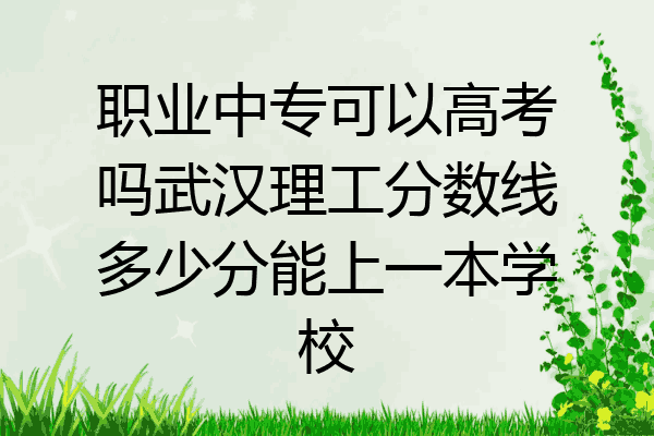 职业中专可以高考吗武汉理工分数线多少分能上一本学校