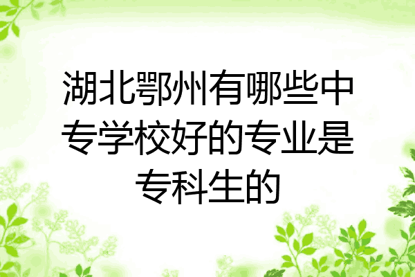 湖北鄂州有哪些中专学校好的专业是专科生的