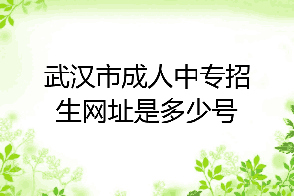 武汉市成人中专招生网址是多少号