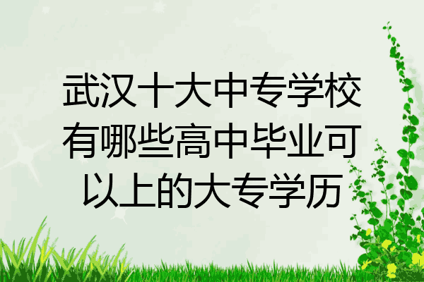 武汉十大中专学校有哪些高中毕业可以上的大专学历