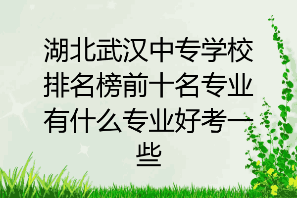 湖北武汉中专学校排名榜前十名专业有什么专业好考一些