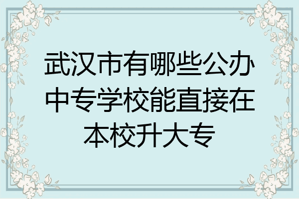 武汉市有哪些公办中专学校能直接在本校升大专