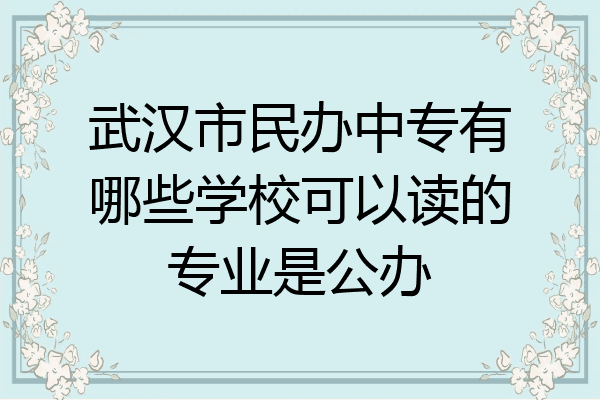 武汉市民办中专有哪些学校可以读的专业是公办