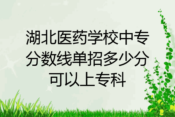 湖北医药学校中专分数线单招多少分可以上专科