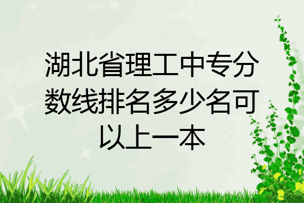 湖北省理工中专分数线排名多少名可以上一本