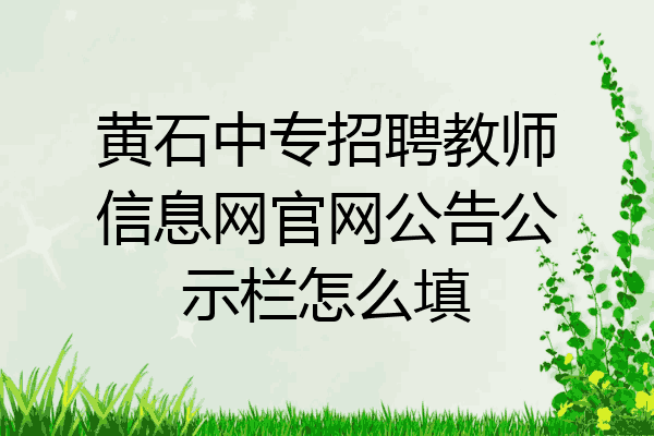 黄石中专招聘教师信息网官网公告公示栏怎么填