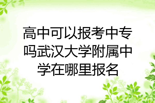 高中可以报考中专吗武汉大学附属中学在哪里报名