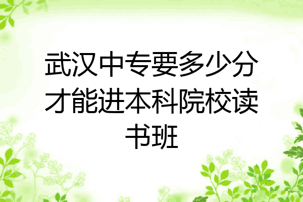 武汉中专要多少分才能进本科院校读书班
