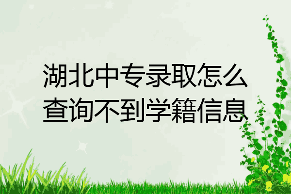 湖北中专录取怎么查询不到学籍信息