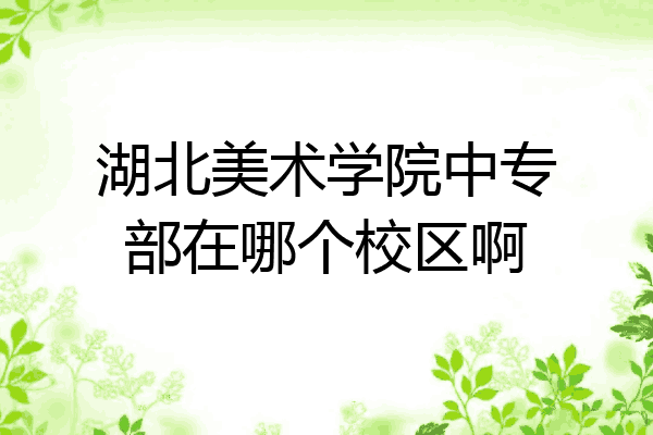 湖北美术学院中专部在哪个校区啊