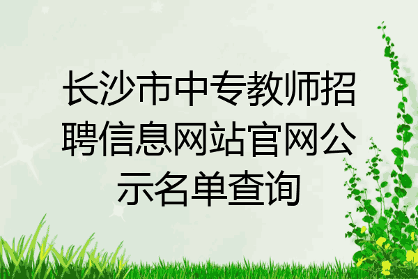 长沙市中专教师招聘信息网站官网公示名单查询