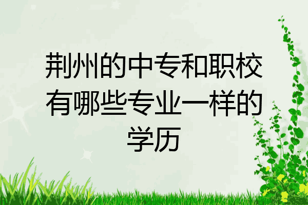 荆州的中专和职校有哪些专业一样的学历