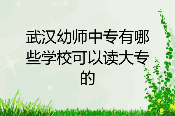 武汉幼师中专有哪些学校可以读大专的