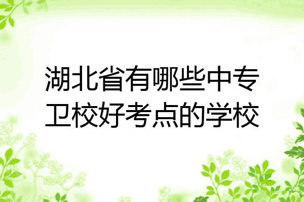 湖北省有哪些中专卫校好考点的学校