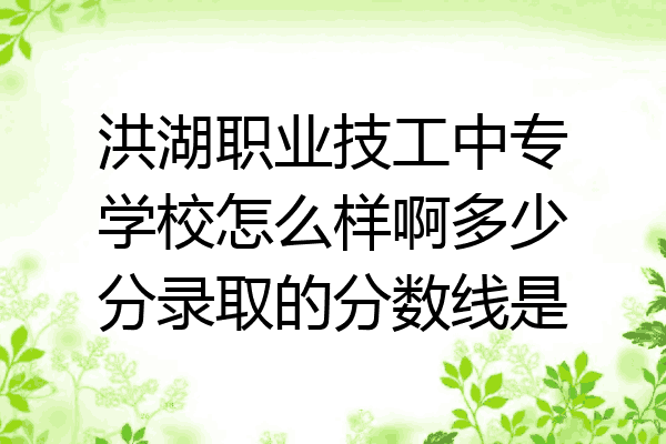 洪湖职业技工中专学校怎么样啊多少分录取的分数线是