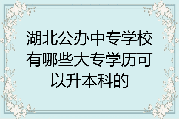 湖北公办中专学校有哪些大专学历可以升本科的