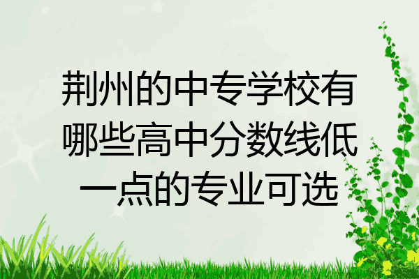荆州的中专学校有哪些高中分数线低一点的专业可选