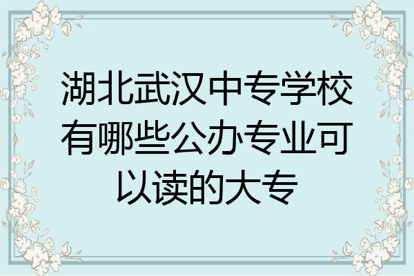 湖北武汉中专学校有哪些公办专业可以读的大专