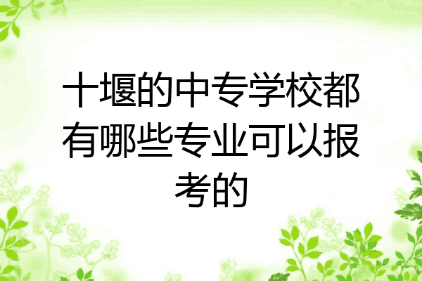 十堰的中专学校都有哪些专业可以报考的