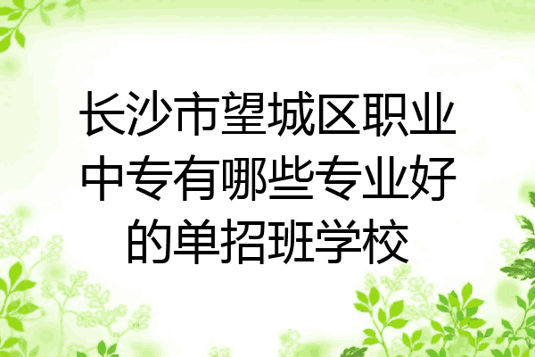 长沙市望城区职业中专有哪些专业好的单招班学校