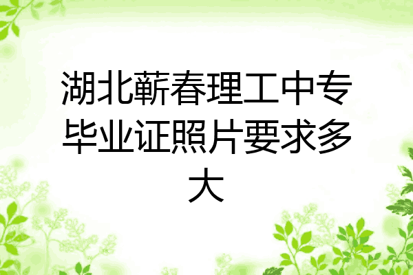 湖北蕲春理工中专毕业证照片要求多大