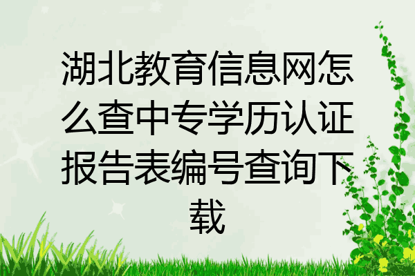 湖北教育信息网怎么查中专学历认证报告表编号查询下载