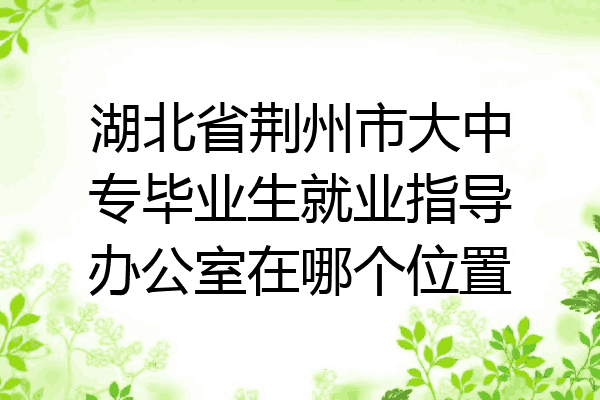 湖北省荆州市大中专毕业生就业指导办公室在哪个位置