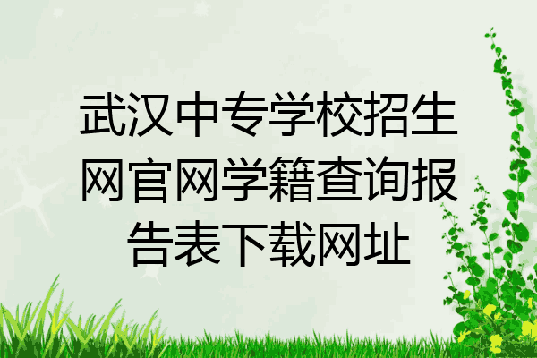 武汉中专学校招生网官网学籍查询报告表下载网址