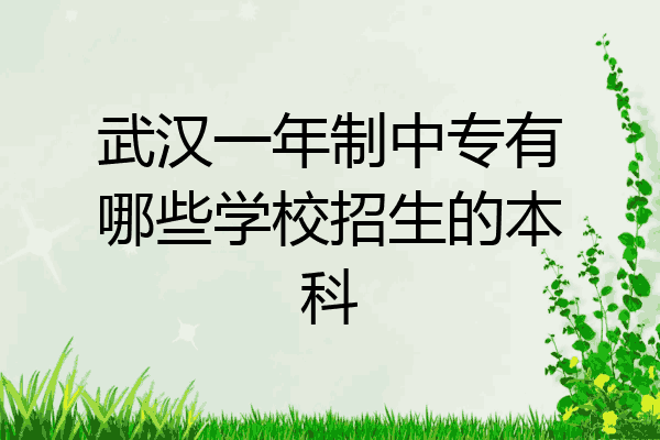 武汉一年制中专有哪些学校招生的本科