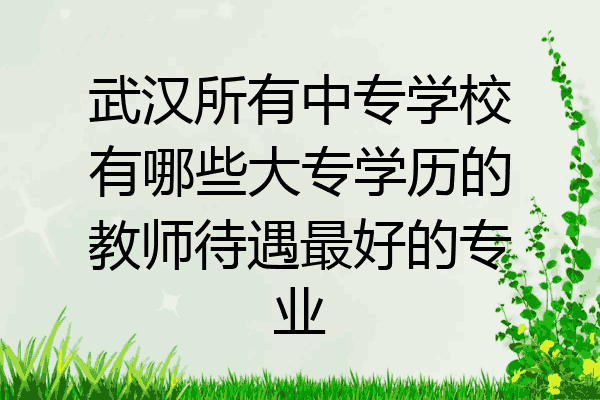 武汉所有中专学校有哪些大专学历的教师待遇最好的专业