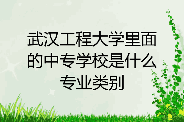 武汉工程大学里面的中专学校是什么专业类别
