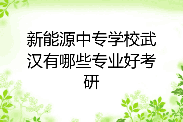 新能源中专学校武汉有哪些专业好考研