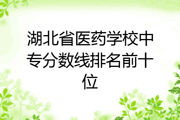 湖北省医药学校中专分数线排名前十位
