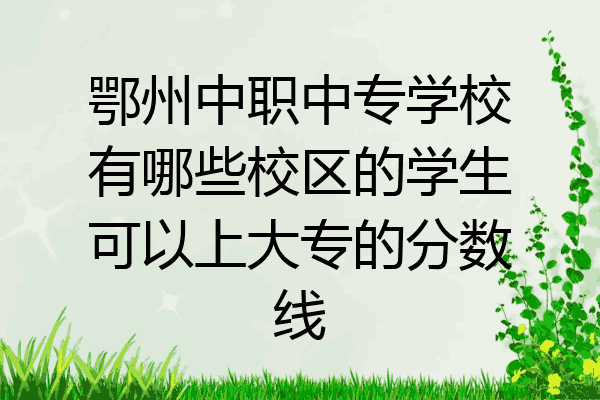 鄂州中职中专学校有哪些校区的学生可以上大专的分数线