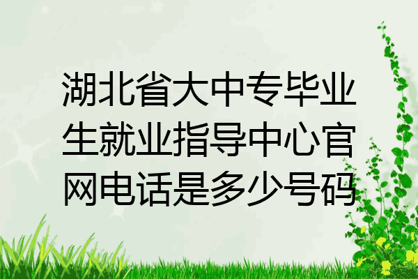 湖北省大中专毕业生就业指导中心官网电话是多少号码