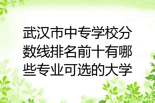 武汉市中专学校分数线排名前十有哪些专业可选的大学
