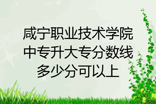 咸宁职业技术学院中专升大专分数线多少分可以上