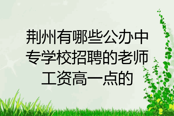 荆州有哪些公办中专学校招聘的老师工资高一点的