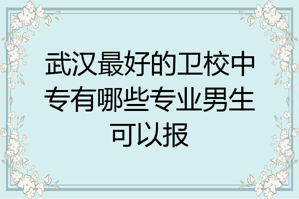 武汉最好的卫校中专有哪些专业男生可以报