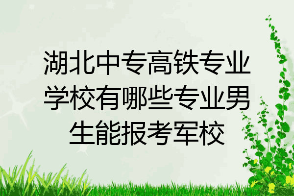 湖北中专高铁专业学校有哪些专业男生能报考军校